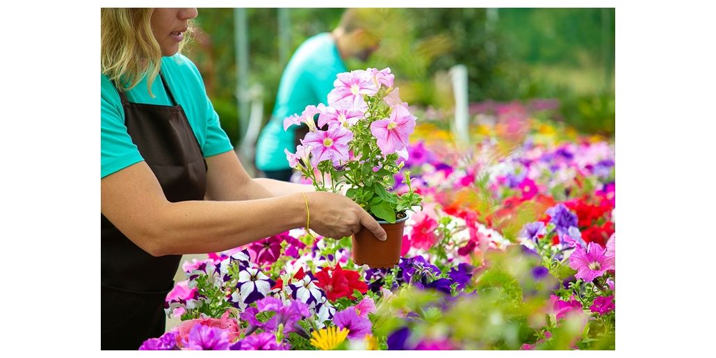 Avem soluții pentru florile tale: AGRII PACK FLORI!