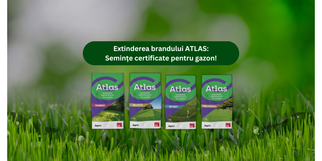 Gazon profesional la tine acasa cu semintele certificate ATLAS