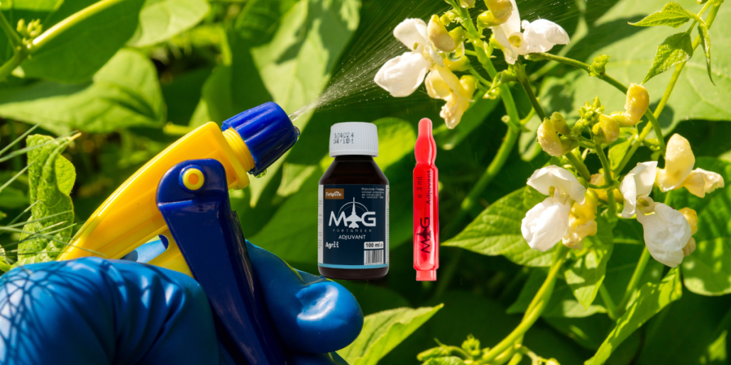 Adjuvant fortgreen mig: creste eficienta tratamentelor fitosanitare 