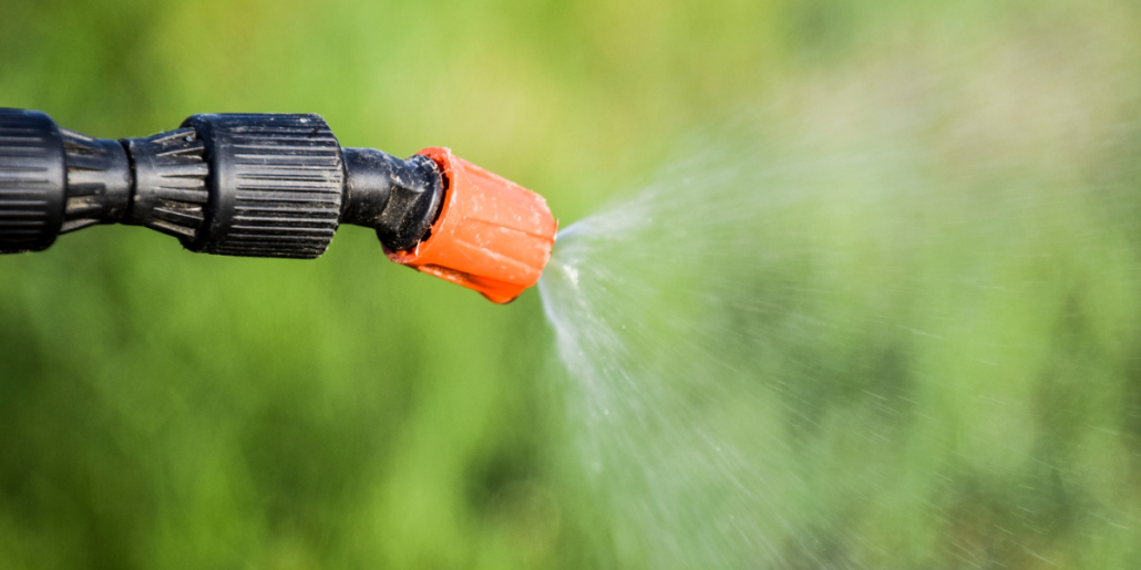 Despre erbicide: cand si cum se aplica pentru eficienta maxima