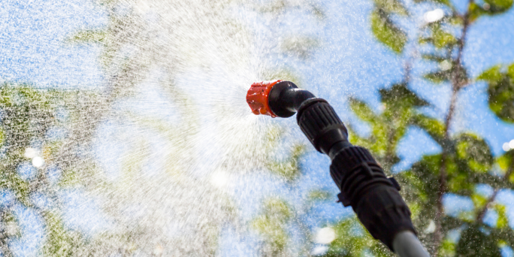 Lupta impotriva daunatorilor cu insecticidul Mospilan