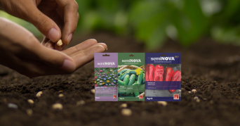 Seminova, noul brand Agrii: de la seminte la bucurie