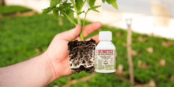 Humitex: sporeste fertilitatea solului si intareste radacinile
