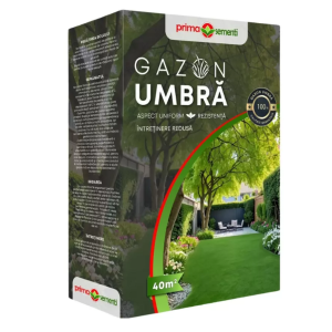 SEMINTE GAZON UMBRA 1KG - PS