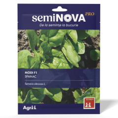 SEMINTE SPANAC MODI F1 3GR - SEMINOVA PRO