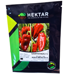 SEMINTE ARDEI LUNG KARPATHOS F1 50SEM - HE