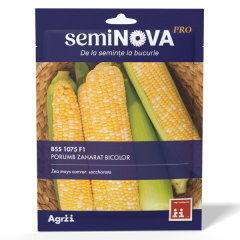 SEMINTE PORUMB BICOLOR BSS1075 F1 35GR - SEMINOVA PRO