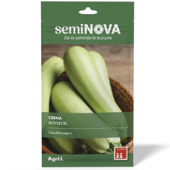 SEMINTE DOVLECEL CERNA 3GR - SEMINOVA