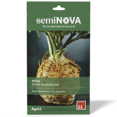 SEMINTE TELINA DE RADACINA ATLAS 0.8GR - SEMINOVA