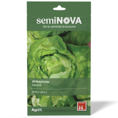 SEMINTE SALATA ATTRAKTION 1.5GR - SEMINOVA