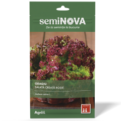 SEMINTE SALATA CREATA ROSIE ODAGIU 1.5GR - SEMINOVA