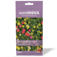 SEMINTE FLORI DE PIATRA SIMPLU MELANJ 0.3GR - SEMINOVA