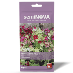 SEMINTE REGINA NOPTII MELANJ 0.5GR - SEMINOVA