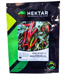 SEMINTE ARDEI IUTE HEK23P702F1 50SEM - HE