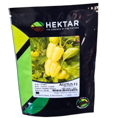 SEMINTE ARDEI GRAS ALUTUS F1 100SEM -HE