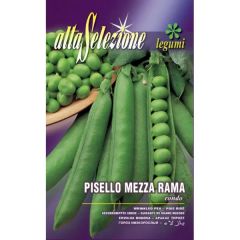 SEMINTE MAZARE SEMI-URCATOARE RONDO 180GR