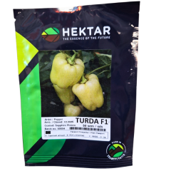 SEMINTE ARDEI GRAS TURDA F1 50SEM - HE