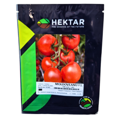 SEMINTE TOMATE MOLDOVEANU F1 100SEM - HE