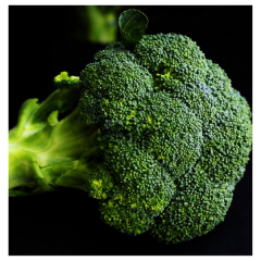 SEMINTE BROCCOLI AGAPIA F1 50SEM - HE