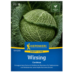 SEMINTE VARZA CREATA CORDESA F1 12SEM- BN