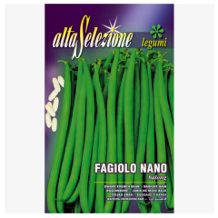 SEMINTE FASOLE OLOAGA FIDELUTA BALONG 150GR