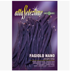 SEMINTE FASOLE OLOAGA FIDELUTA PURPLE KING 180GR