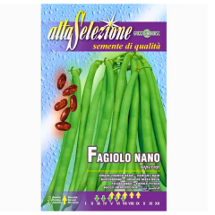 SEMINTE FASOLE OLOAGA FIDELUTA TOPCROP 210GR