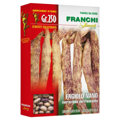 SEMINTE FASOLE OLOAGA PIEMONTE 250GR