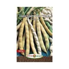 SEMINTE FASOLE OLOAGA CANNELLINO 100G - PS