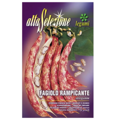 SEMINTE FASOLE URCATOARE LATA STREGONTA 140GR