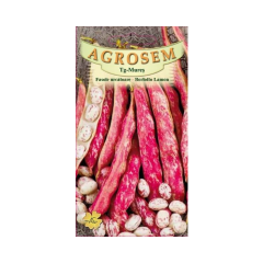 SEMINTE FASOLE URC.TAR.BOR.LAMON 50G - MS