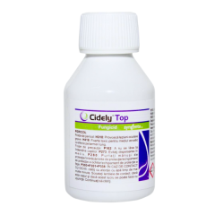 FUNGICID CIDELY TOP 100ML R