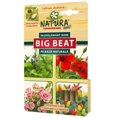 INGRASAMANT BETISOARE BIG BEAT 12BUC - ACS