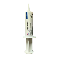 INSECTICID MAXFORCE IC RB2,15 - 20G