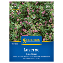 SEMINTE LUCERNA SAAT-ALFALFA - BN