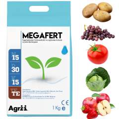 INGRASAMANT MEGAFERT 15-30-15 1KG R