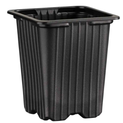 PAHARE PATRATE 5 DESCH 7*7*6CM PP NEGRE