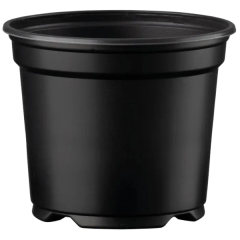 PAHARE ROTUNDE 5 DESCH 12CM