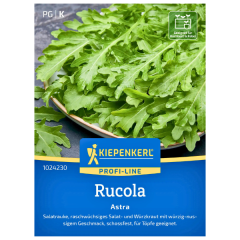 SEMINTE RUCOLA ASTRA - BN