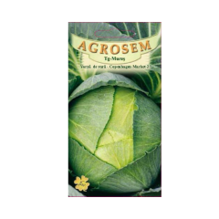 SEMINTE VARZA V.COPENHAGEN MARKET2 3G - MS