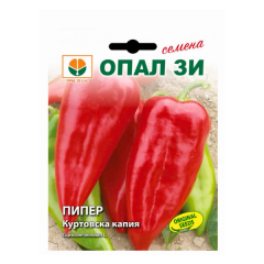 SEMINTE ARDEI KURTOVSKA KAPIA 2GR - OP