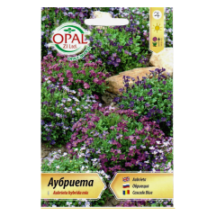 SEMINTE AUBRIETA 027 - OP