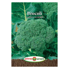 SEMINTE BROCOLI RAMOSO CALABRESE 5GR - PS
