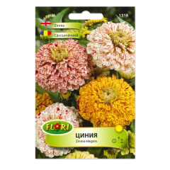 SEMINTE CARCIUMARESE ZINNIA PEPPERMINT STICK - FL