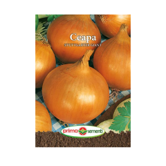 SEMINTE CEAPA STUTTGARTER GIANT 1,5GR - PS