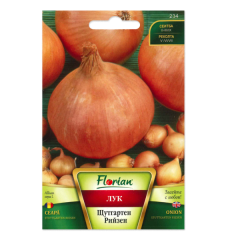 seminte_ceapa_schtuttgarten_2gr_fl