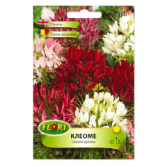 SEMINTE CLEOMA (FLOAREA PAIANJEN) MIX - FL