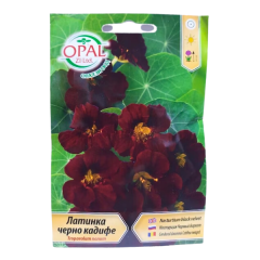 seminte_condurul_doamnei_black_velvet_095_op