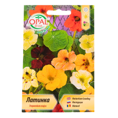 SEMINTE CONDURUL DOAMNEI CATARATOR 058 - OP