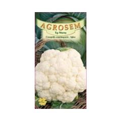 SEMINTE CONOPIDA IGLOO 0,8GR - MS